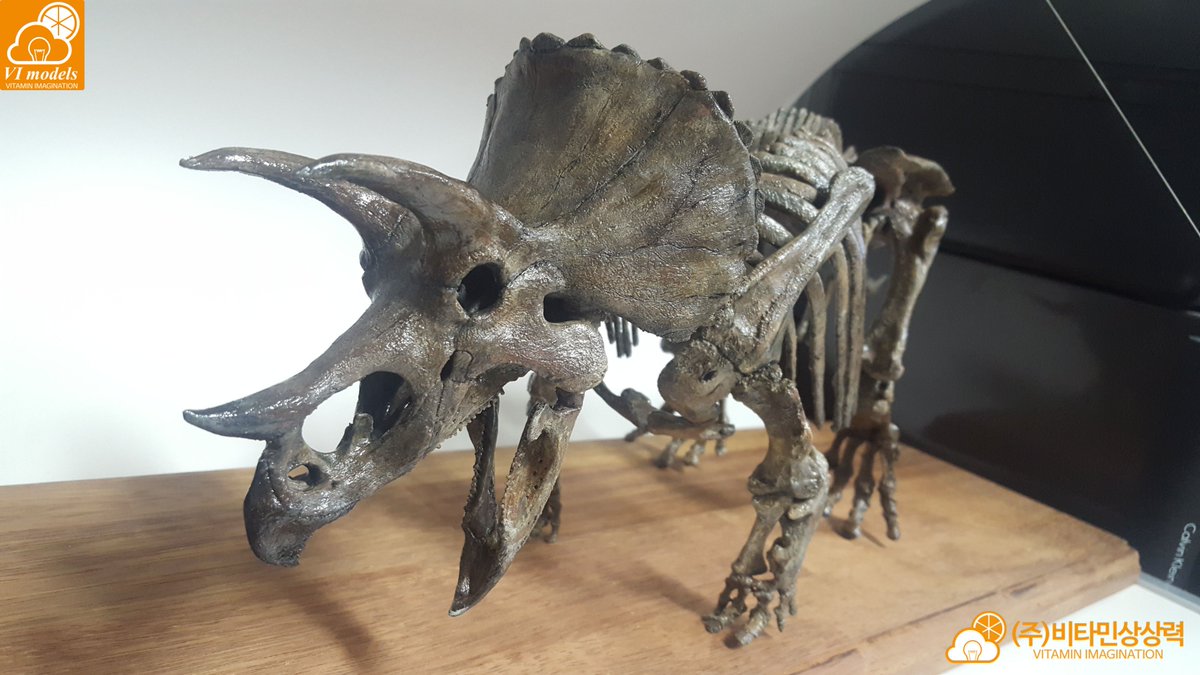 vitaimagination's tweet photo. 트리케라톱스 골격도 1:18 사이즈 도색까지 완료
Triceratops Skeleton 1:18 scale
Sculpted & Painting by Kim jin kyeom Vitamin_imagination co., ltd. CEO
https://t.co/9FPrlb2gXM
#dino #dinosaurs #트리케라톱스 #triceratops #skeleton #골격도 #VImodels #VitaminImagination #비타민상상력 https://t.co/s5224vvnUb