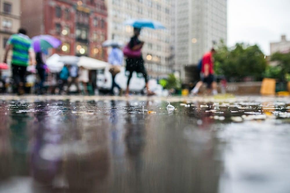 Her ne kadar şehir hayatında eskiden olduğu kadar alamasak da yağmurdan sonra yayılan o toprak kokusunu çoğumuz çok severiz. Bu kokuyu yağmurla ıslanan toprakta gelişen “aktinomiset” bakterilerinin ürettiğini #biliyormuydunuz?