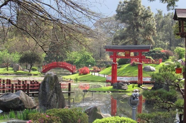 Parque 3 de Febrero tweet media