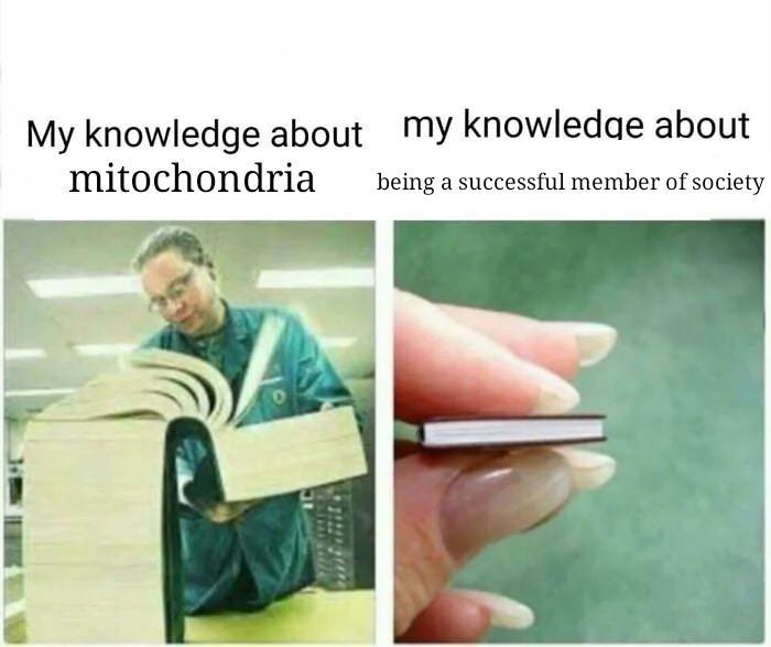 ¯\_(ツ)_/¯ [Tumblr/melonmemes]