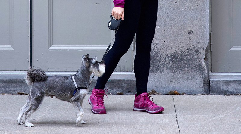 eatdrinkbecarrieFR tweet media