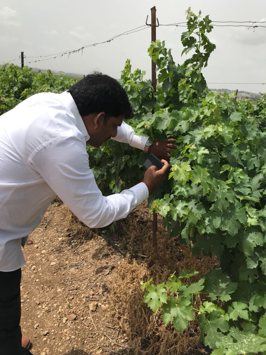 Bashirshaik5's tweet photo. #ఇజ్రాయెల్ పర్యటనలో MLA #ఏలూరి_సాంబశివరావు గారు
#పుట్టిందిరైతుఇంట
#పెరిగిందిరైతుబిడ్డగా
#చదివిందివ్యవసాయశాస్త్రం
#ఎదిగిందిప్రజాప్రతినిధిగా
ఒక ప్రాంత ప్రజాప్రతినిధిగా నిత్యం ప్రజా సమస్యలు, అభివృద్ధి సంక్షేమం అంటూ తిరిగే పర్చూరు శాసనసభ్యులు ఏలూరి సాంబశివరావు గారి మదినిండా వ్యవసాయమే https://t.co/3IvrVRUlsZ