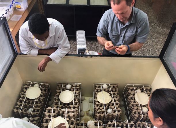 EntomoFarms's tweet photo. Darren from #EntomoFarms in #madagascar #day2 "Today we had the amazing opportunity to asses the rearing protocols in the production facility. Truly great work growing the colony." https://t.co/WjM1fVAbok #foodforall #healthyfood #protein #B12 #fibre #sustainablefood https://t.co/Sbl83CHZ6V