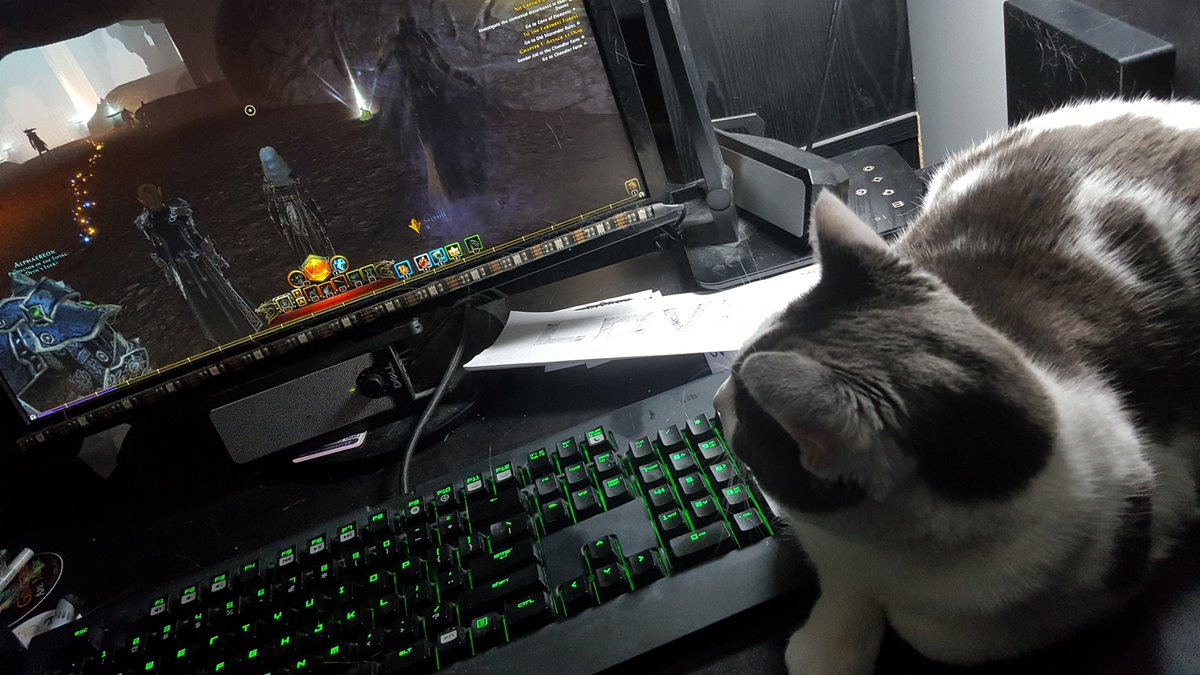 UnseelieAllure's tweet photo. Ill be streaming w/@TeamDevilsLuck tonight at 8pmE https://t.co/gOQ6xtZd4E end game #Neverwinter Just re-speced my #WarlockClass f4 better single target melt but im pretty sure im dead if my damn cats walk infront of the screen again 
LOL ASK ME QUESTIONS #AMA tonight in chat! https://t.co/5DggAgzMq0