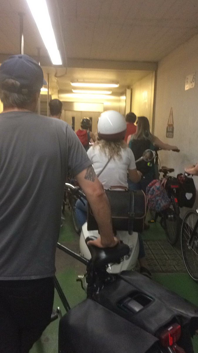 Tim Van Daele tweet media