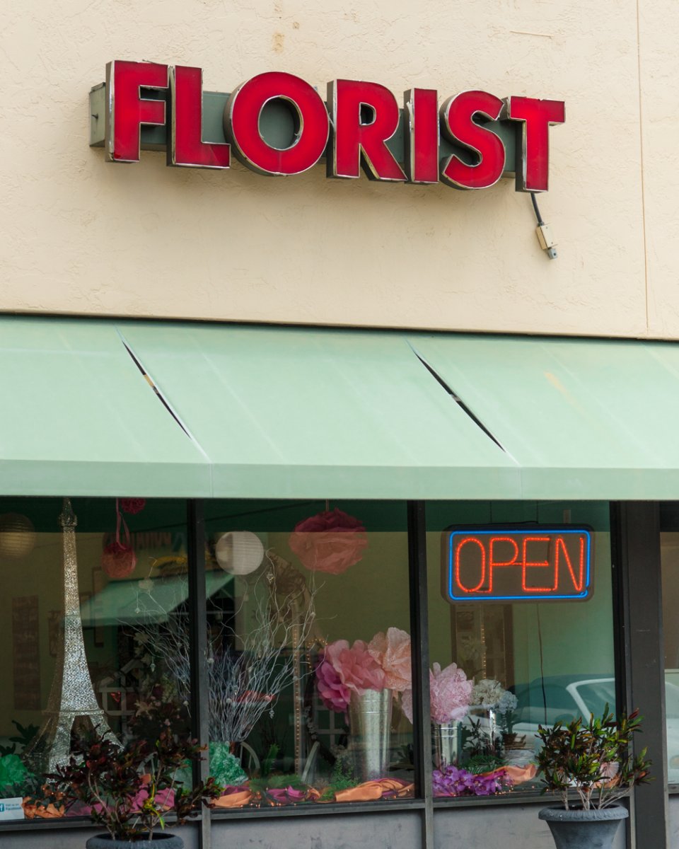 Mille De Fleur (MilleDeFleur) Twitter