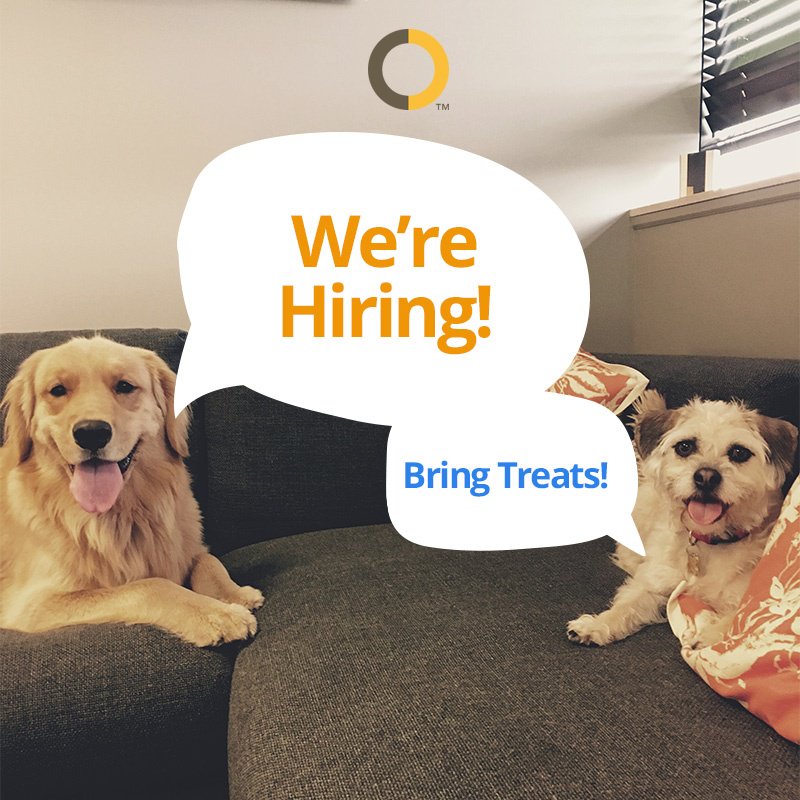 Guess What? We're Hiring! So, if you like dogs and you're a kick a** visual graphic designer, then you will definitely want to check this out 👇#hiring #graphicdesigner
 bit.ly/2wdrsnq