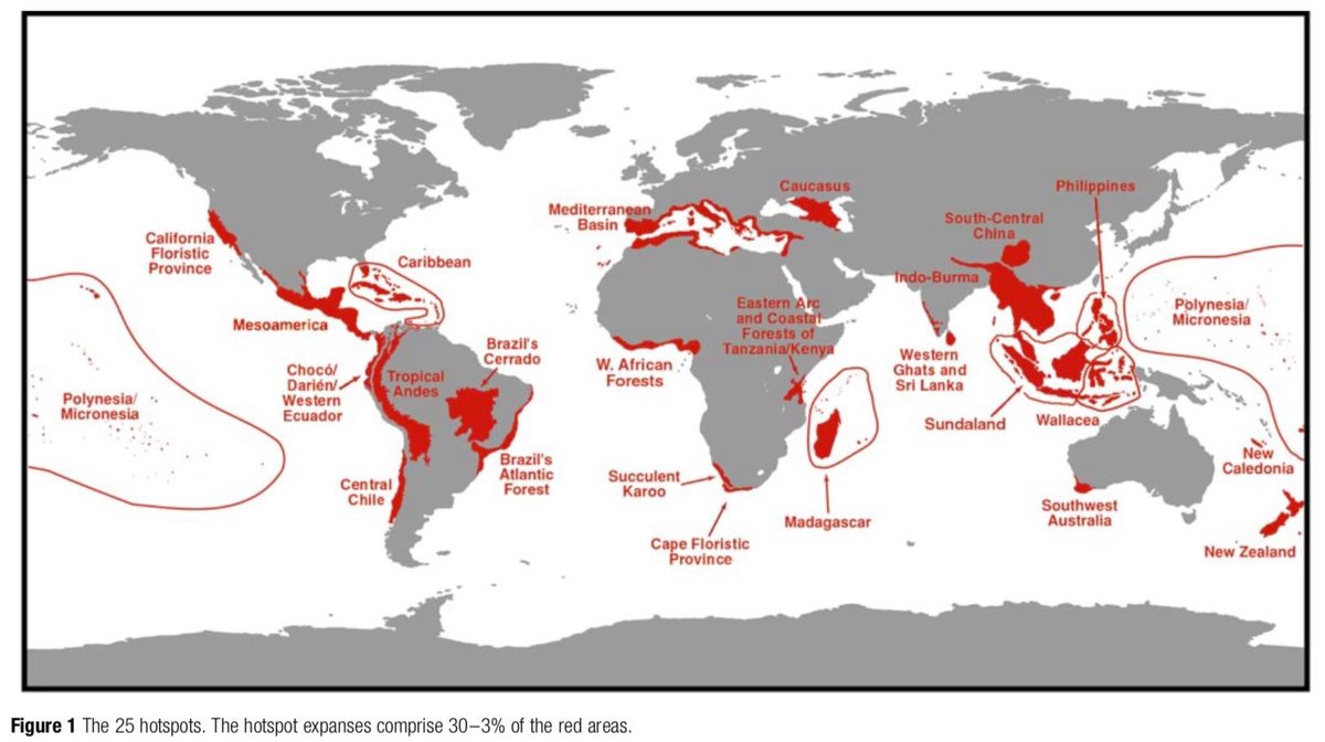 PhDVincent's tweet photo. Since 2000, scientists from @UniofOxford and @ConservationOrg identified the Global Biodiversity hotspots for conservation priorities (in red). #BiodiversityFirst #Priority1000 https://t.co/JFUFxtbfxt
