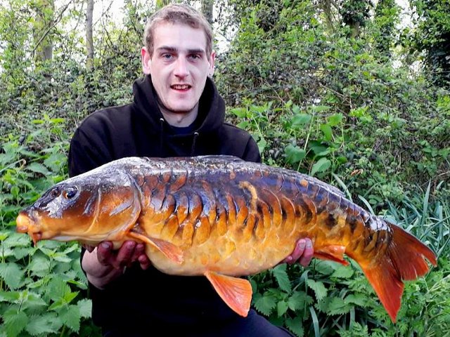BigFishBaits's tweet photo. Stunning ... Dan Roberts back again after a short absence and what a way to make an entrance. #MilkOne, MilkOne #Pellet and MilkOne #Wafters all coming together to help put these two on the naughty step ....CRACKERS https://t.co/zhYSASeVQg