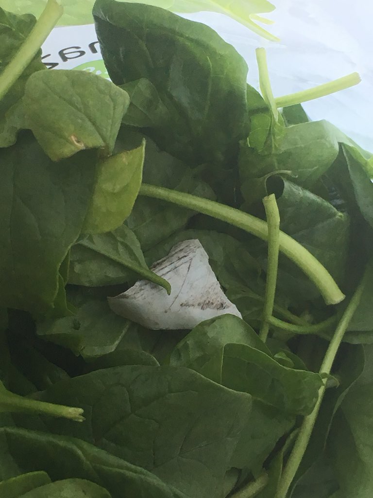 Esther Vervaet tweet media