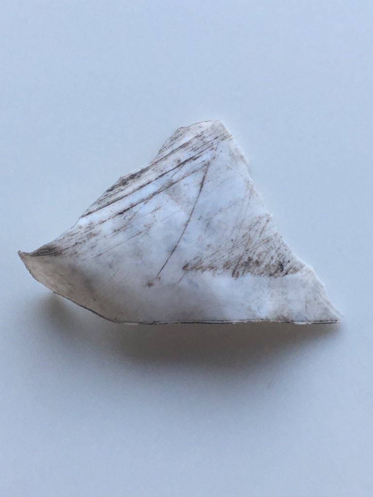 Esther Vervaet tweet media