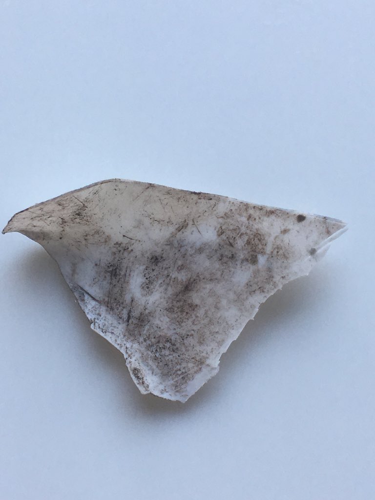 Esther Vervaet tweet media