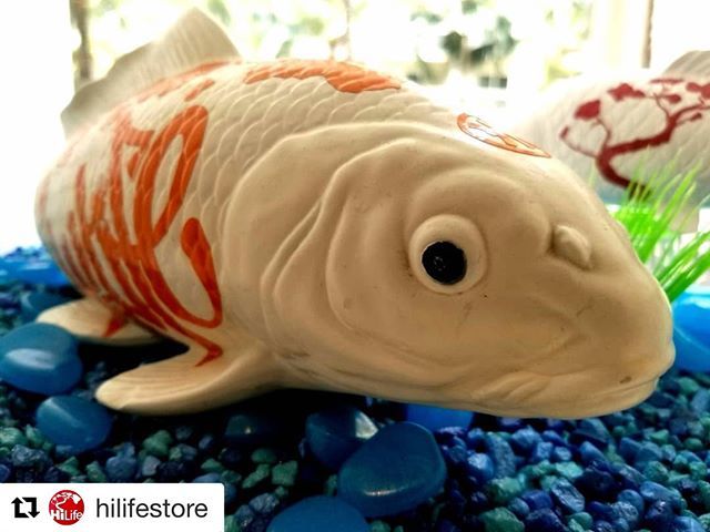 WaikikiBeachWlk's tweet image. #Repost @hilifestore: Aloha Friends! Just got in some new arrivals. We are open every day from 10am-10pm. Come thruuu! 🤙 ift.tt/2FQ4K4g