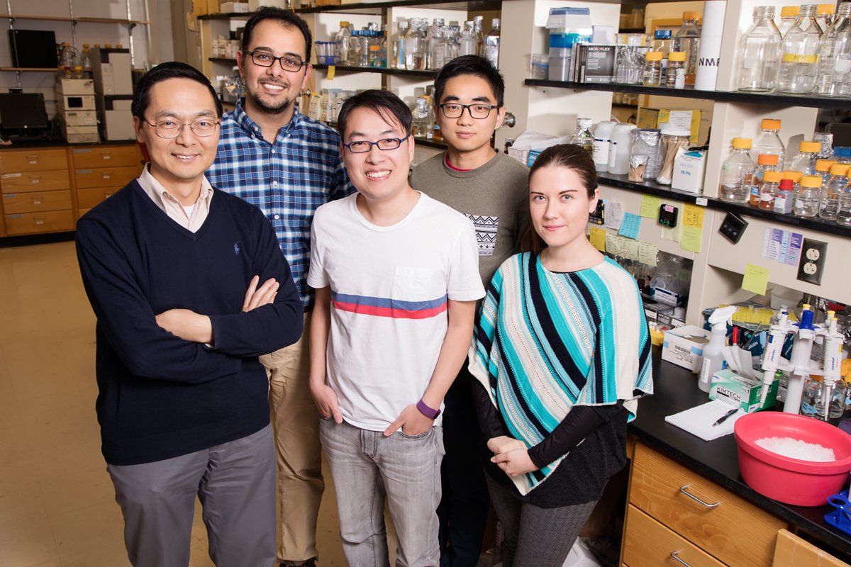 #ILLINOIS researchers develop CRISPR-based technology that "knocks out" yeast genes with single-point precision – offering potential benefits to industries that use the yeast to produce ethanol, chemicals, lubricants and pharmaceuticals. news.illinois.edu/view/6367/6477…