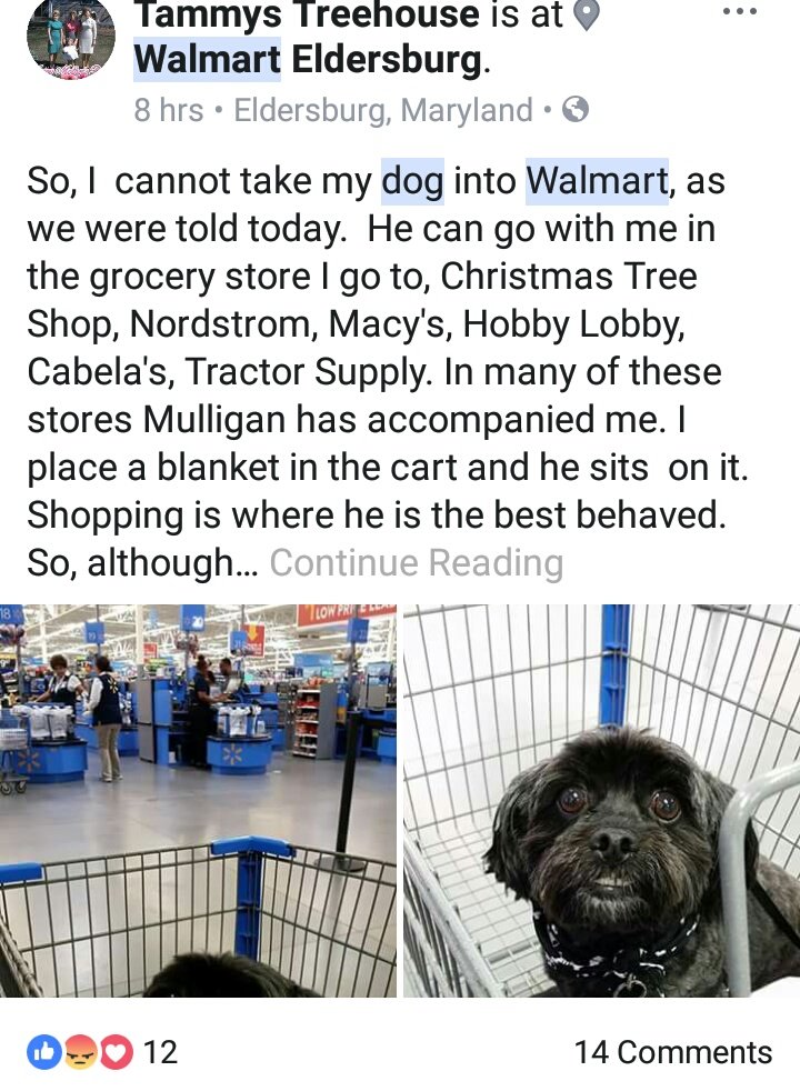 Can Dogs Go Into Walmart