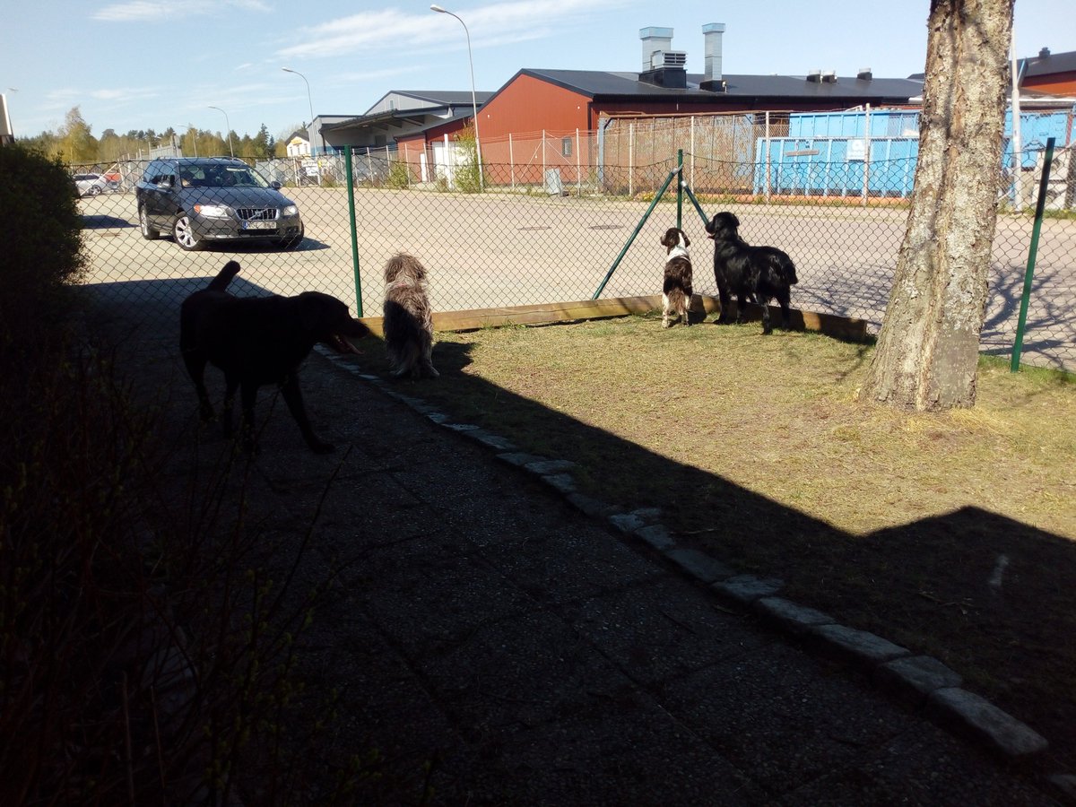 HappyDogsDagis's tweet photo. Vad händer? https://t.co/TXMz3IX3t7