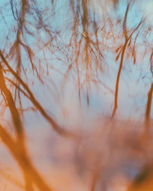 LESZ_DESIGN's tweet photo. Smooth water.
.
.
.
.
.
.
.
.
#canadalife #explorecanada #colorhunters #createcultivate #livecolorfully #livecreatively #mnm_gram #welivetoexplore #planetdiscovery #naturegeography #nature_wizards #naturesbeauty #naturephoto #visualscollective #visualof… https://t.co/3xYsmKJUhj https://t.co/T1fQfRqiqF