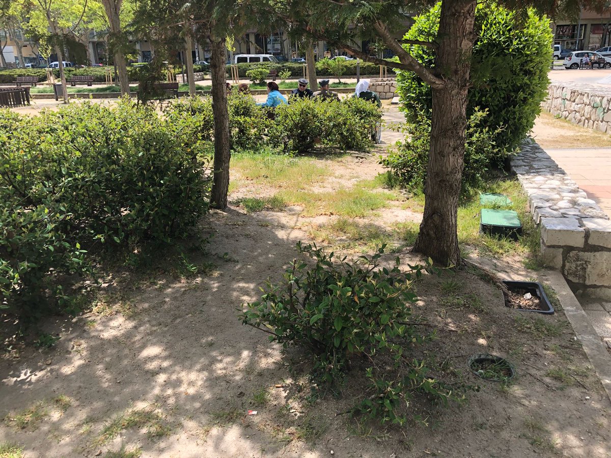 PPAytoZamora's tweet photo. Seguimos con el abandono de las zonas verdes con el que IU y PSOE 'obsequian' a los zamoranos...
Hoy nos vamos hasta el parque de Las Viñas https://t.co/U4U1an0WZS