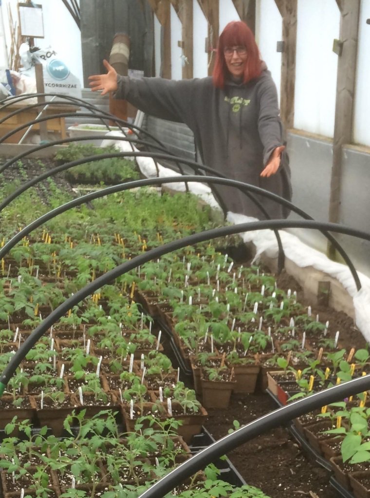 earthalivect's tweet photo. Biodegradable Cowpots and organic Soil Activator, the perfect duo for no-fuss transplants! #SoilActivator https://t.co/ltYpod07Il