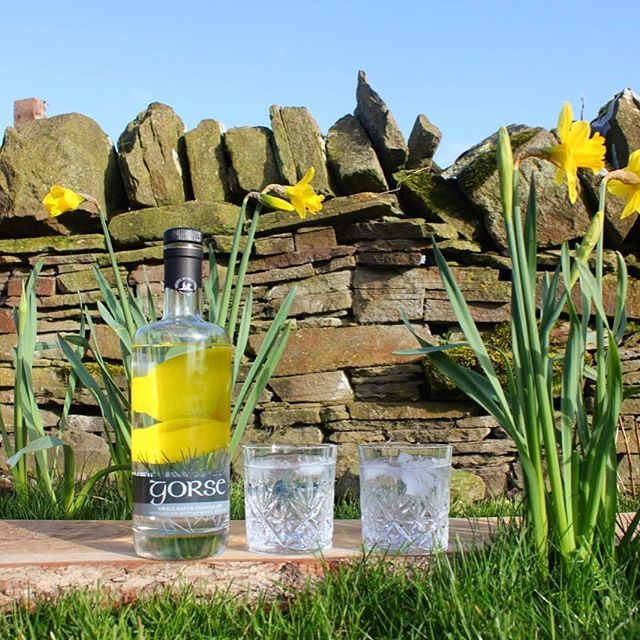 It's been a Gorse gin kinda day today cheers to the gorgeous 🌞 #gingingin #sunnybankholiday ift.tt/2jFNkie