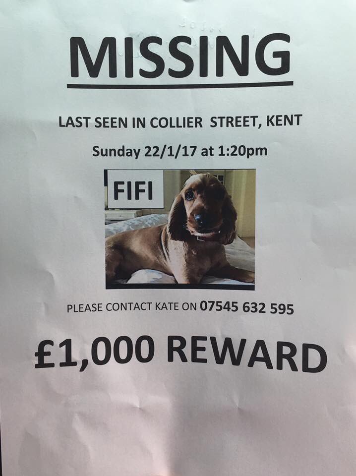 rosiedoc666's tweet photo. #findFifi #stillmissing 22/1/17

the not knowing is the worst💕
is she looked after💕
is she fed properly💕
does she have a happy home💕
PLS PLS IF YOU HAVE FIFI 💕
BRING HER HOME 💕
THERE IS A #reward it still stands 🐾💕🐾 https://t.co/EfO4PozesR
