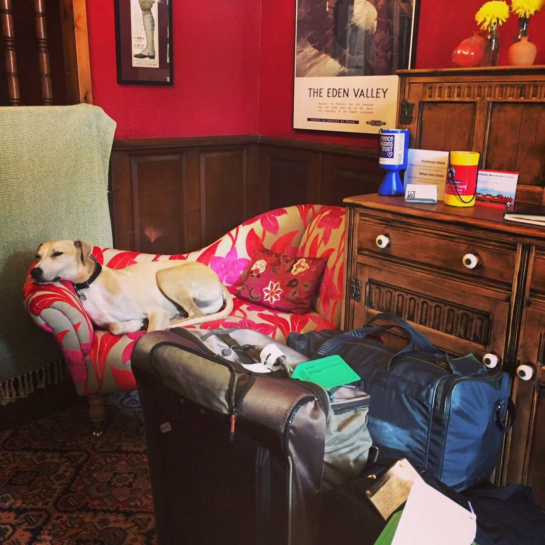 oldcrofthouse's tweet image. All work and no play makes Dylan a dull boy... #breakfastcooking #supervisingcleaning #baggagecollection #workisneverdone #bedandbreakfast #outinthesun #kirkbystephen #cumbria @VisitEden #westmorlanddales #escapethecrowds #allyearround #getaways #farfromthemaddingcrowd