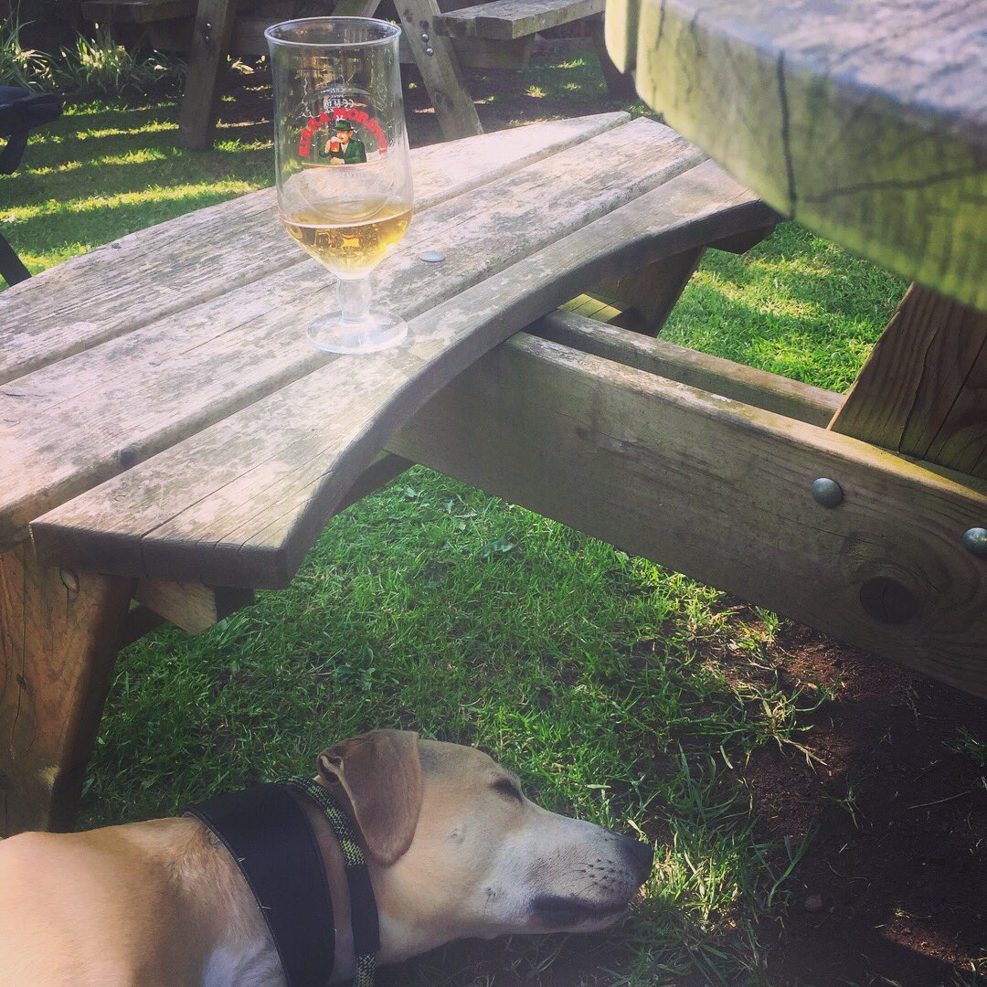 oldcrofthouse's tweet image. All work and no play makes Dylan a dull boy... #breakfastcooking #supervisingcleaning #baggagecollection #workisneverdone #bedandbreakfast #outinthesun #kirkbystephen #cumbria @VisitEden #westmorlanddales #escapethecrowds #allyearround #getaways #farfromthemaddingcrowd