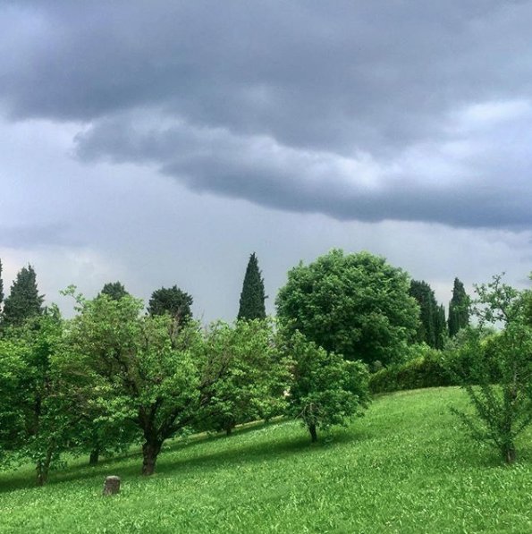 bettyluxtravels's tweet photo. I am disappointed by the weather and I am fascinated by the colors #spring #nature #naturelovers #italy #tuscany #florence #igfirenze #igersitalia #igers #igersitaly #igersfirenze #igersworldwide #igaddict #traveller #luxurytravel #traveldiaries #natureisart #tuscanlandscape https://t.co/hAl1xNvyzz