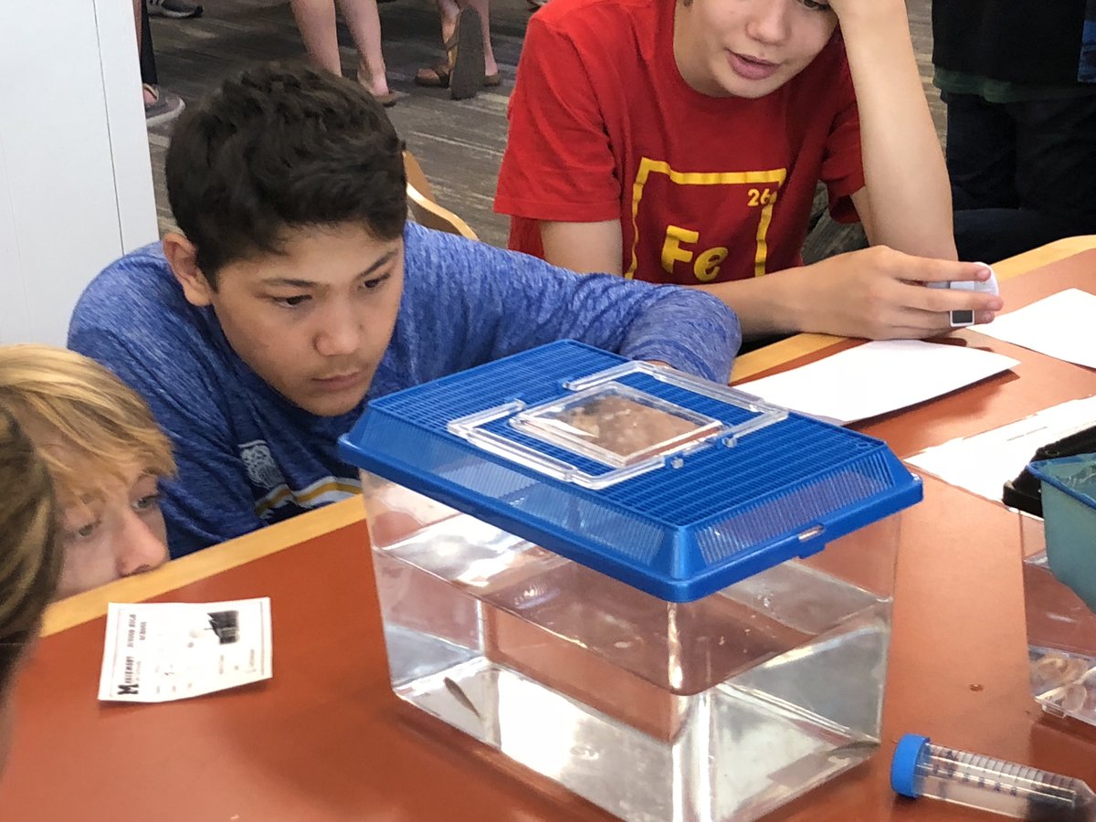 MJHSCampbell's tweet photo. Cave Fish?(check)Crash Testing?(check)Evolutionary changes in birds?(check)  Geologic Time fossil Evidence?(check)  FANTASTIC 8th Grade Science Day! @MJHSConnaughton @mjhshunt @iSPACEcincy @uofcincy @CincyMuseum #grosslabfishfans https://t.co/rK8yd1WzRE