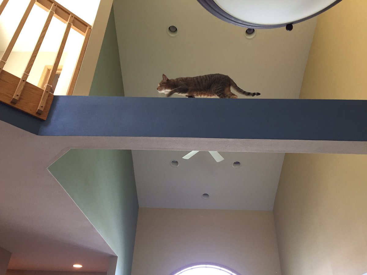 Katie Tiedrich On Twitter Our New Place Has A Little Loft