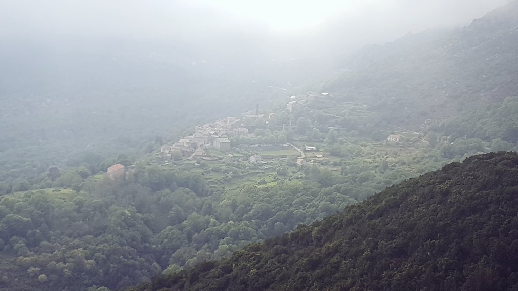 CharlesFinidori's tweet image. #Moita è #PietradiVerde indè a nebbia #Veranu #Corsica