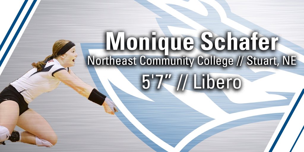 Excited to announce the transfer of Mo Schafer (<a href="/MoSchafer/">Monique Schafer</a>) to Loper Volleyball!