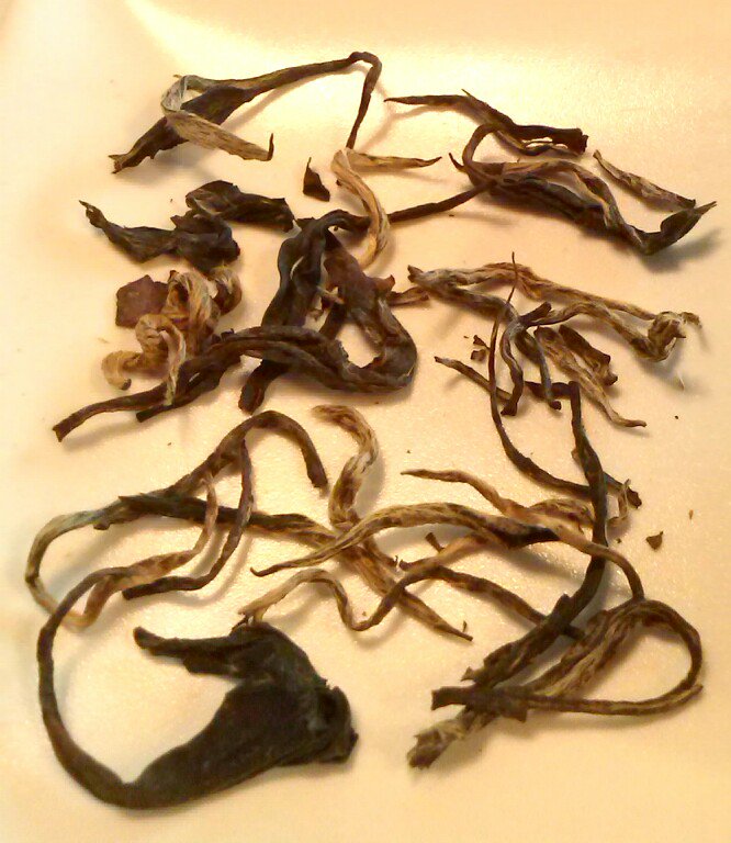 teamasterscupsp's tweet photo. A partir de las 2 subvariedades de la Camelia Sinensis se producen los 6 tipos principales de té. Cada uno se elabora de un modo diferente y los distintos procesos aportan características concretas y especiales a los aromas y al sabor del té #tmcs2018 #Mixology #TeaTender https://t.co/xTLSqUtS6D