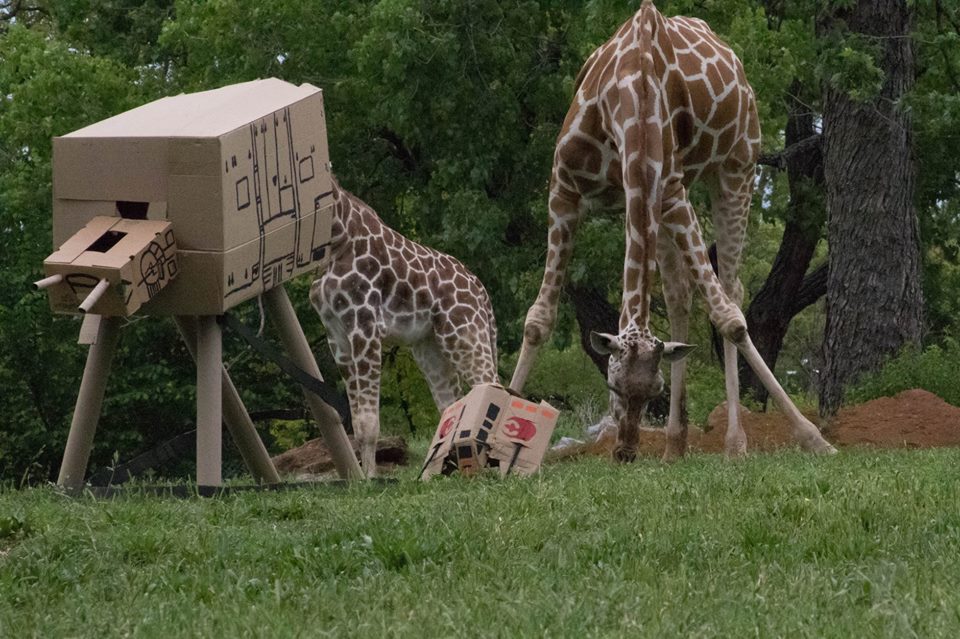 レア・新品】 giraffeジラフ STAR WARS スターウォーズ ネクタイ 細身