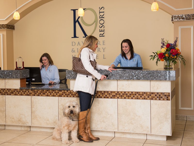 K9 Resorts are nationally recognized, multi-award-winning, luxury pet hotels. Our facilities have consistently been rated number one in New Jersey and within the top three in the nation. Choose us for overnight boarding and doogie daycare for your #dog! k9resorts.com