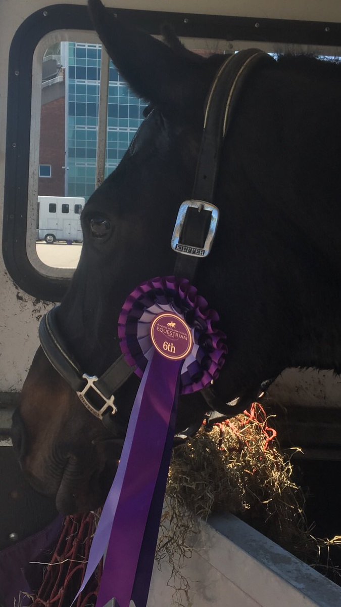 lora10ra's tweet photo. 6th in the warm up test at Aintree Dressage Championships and an excellent 70% in the finals test but not quite enough to be in the top 8 but still very proud of this girl @EcoGreenEquine @HoofiesEq https://t.co/cDG28SsOAt