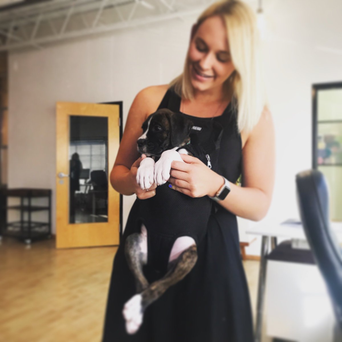 It's #MeetTheTeamMonday, &amp; today, we're featuring White Hat pup Lola! 🐶 Lola is 11 months old &amp; originally from Houston. She loves to wrestle with big brother Archer, enjoys cuddles &amp; has destroyed every bed mom <a href="/Bailey_Woodling/">Bailey Woodling</a> has bought for her so far! 🛏 We love you Lola 💜