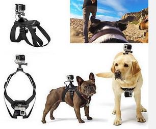 dealsofweb's tweet image. Product of the Week: Dog Camera Mount Chest-Back Harness For GoPro Hero 4/3+/3/2/1
dealsoftheweb.com