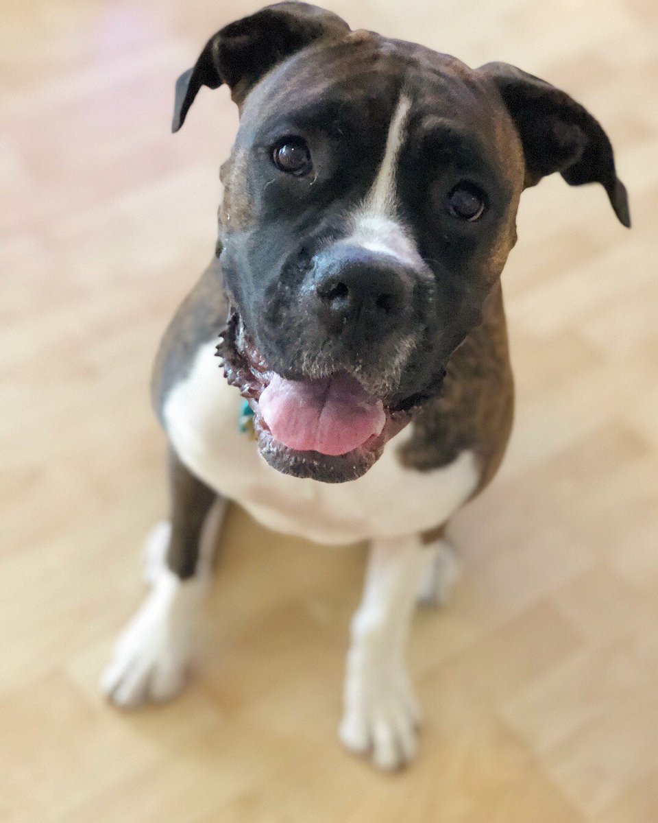 White Hat tweet media