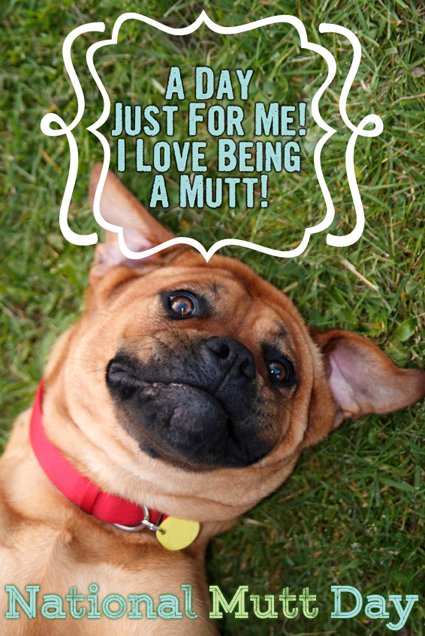 Pet Scoop on Twitter: "It's May Day for Mutts! National Mutt Day ...
