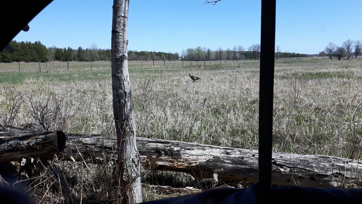 17Deer's tweet photo. Spent a few hours in the turkey woods with my good buddy @JohnBrayman today.
This hen stayed with us for close to 40 minutes, even bedding down beside my jake decoy for awhile. #SpringTurkeys https://t.co/iSyeAzmm0m