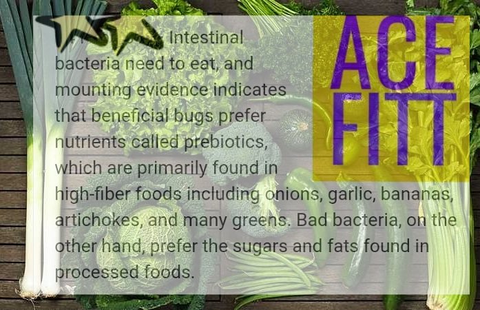 UTHFiTT's tweet image. Woking inside out ....ACEFITT a differnt class. While most coaches look at what you can see we look at nutrition &amp;amp; the benefits for total fitness, #bodyfunction #brainhealth #mentalhealthhour #injuryprevention #Kids #adenough #food #obesity #Bodytransformation