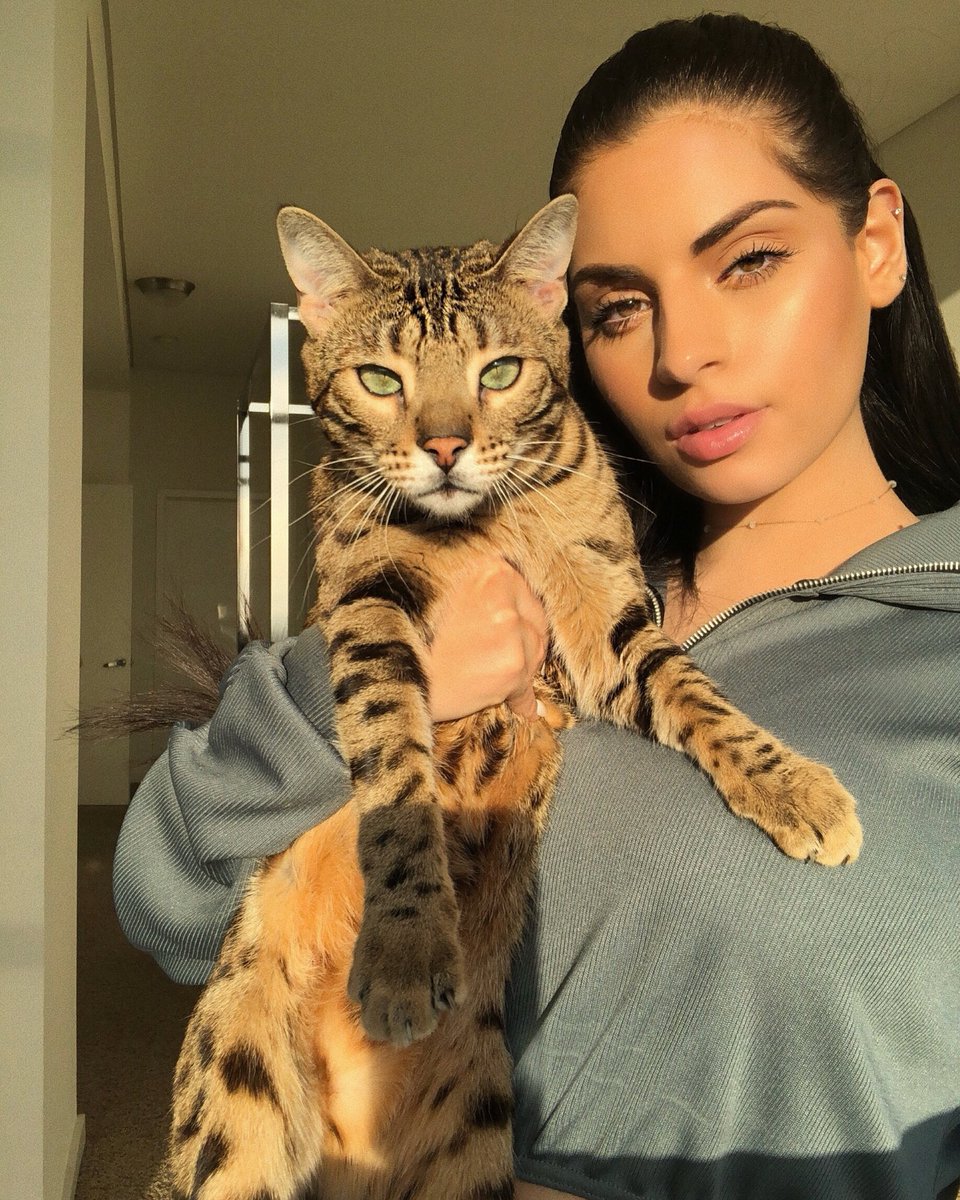 Nazaninkavari's tweet photo. When your pet serves face better than you do https://t.co/BMHfceADCn