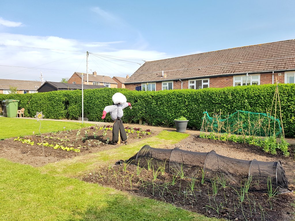 MeAndMyLottie's tweet photo. My little Lottie patch as I left it this afternoon 😊 there's a definite hint of green there now #GrowYourOwn #allotment #vegetablepatch https://t.co/EvFMDCunbK