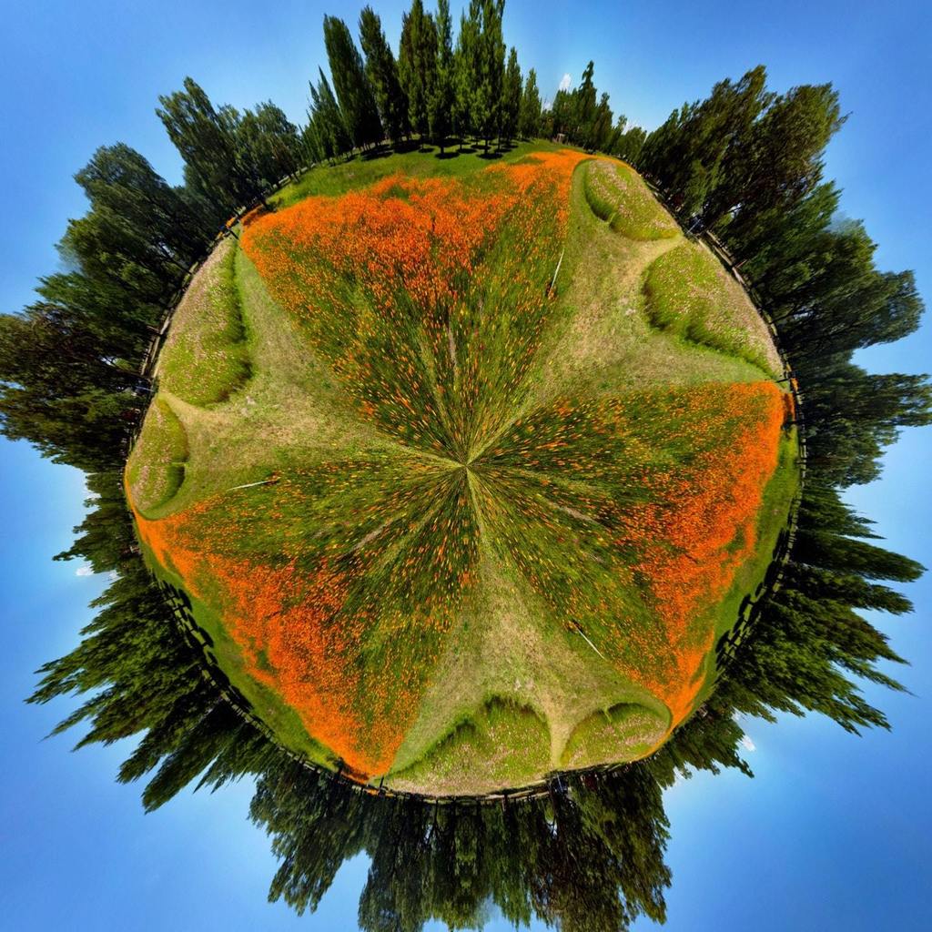 sandstep's tweet photo. I'm at New Orleans City Park! #flowerfieldsforever #tinyplanet @nolacitypark citypark https://t.co/MFOgieFxF9