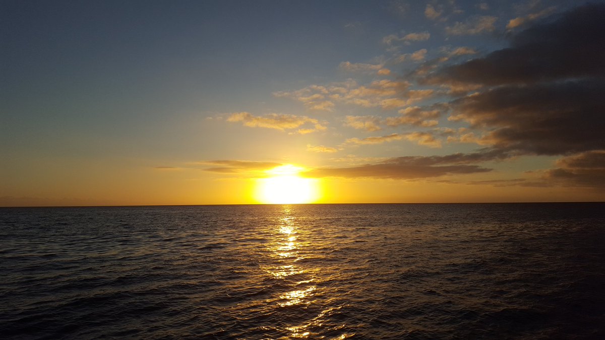 Miss' toire Géo tweet media