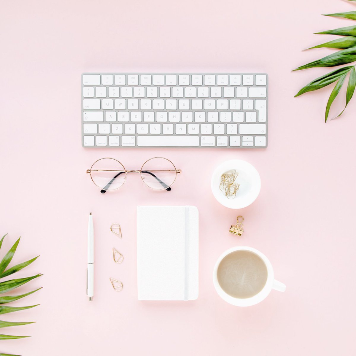 BlissPaperLLC's tweet photo. Today on the blog: I share the reality of what it takes to go from no sales to almost 70,000 sales on @etsy 💻  https://t.co/EPX2YSk15V #businessgrowth #etsyshop https://t.co/djfUnb2A2x