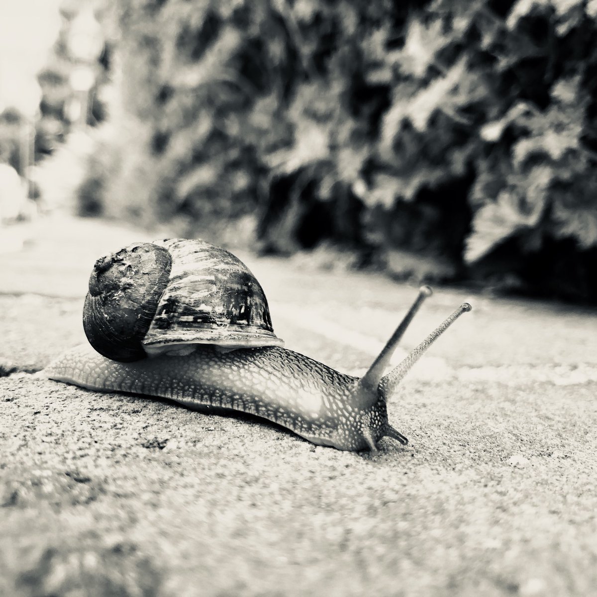 🦄 Hey Jamie tweet media