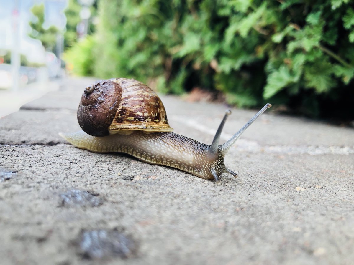 🦄 Hey Jamie tweet media