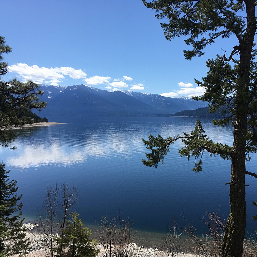 selkirkloop's tweet photo. The sun is shining and it is a great excuse to get out of the office and take a trip on the #SelkirkLoop! This beautiful pic was taken at Yasodhara Ashram. https://t.co/RbfztA23sF